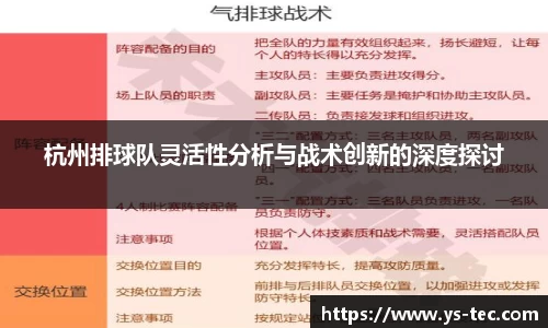 杭州排球队灵活性分析与战术创新的深度探讨