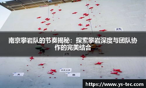 南京攀岩队的节奏揭秘：探索攀岩深度与团队协作的完美结合