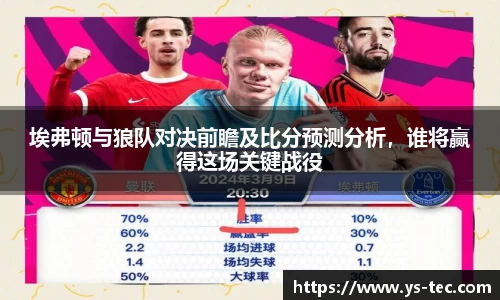 埃弗顿与狼队对决前瞻及比分预测分析，谁将赢得这场关键战役
