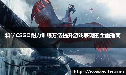 科学CSGO耐力训练方法提升游戏表现的全面指南